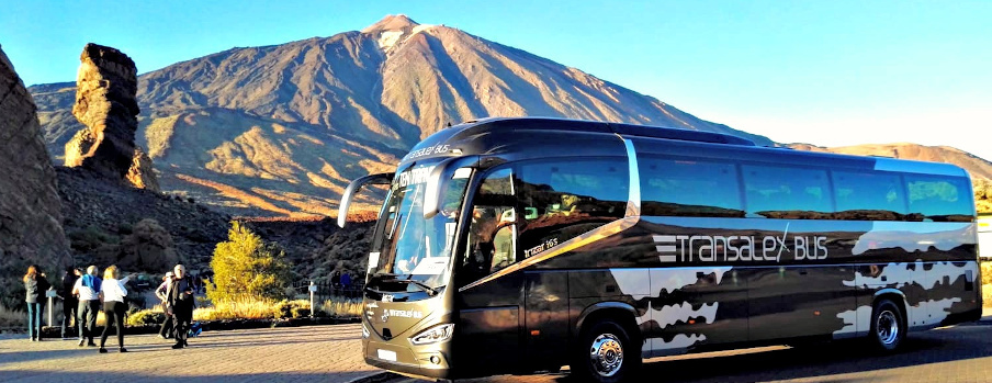 Transalex Bus