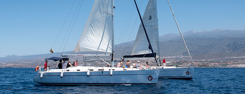 White Tenerife