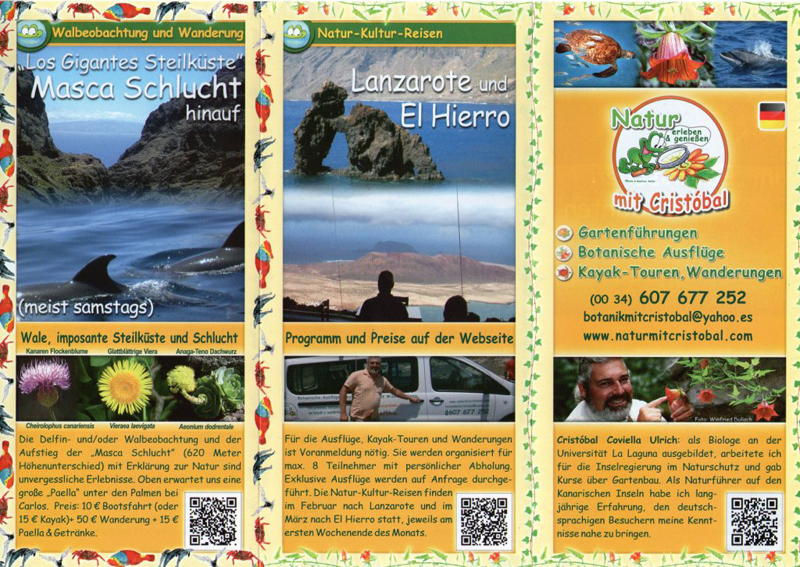 galeria15.jpg