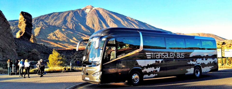 Transalex Bus