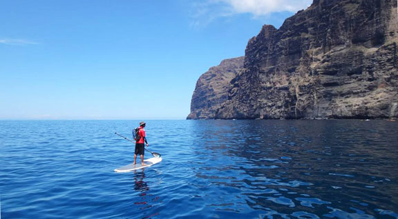 Stand up paddle