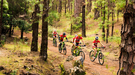 Mountain Bike