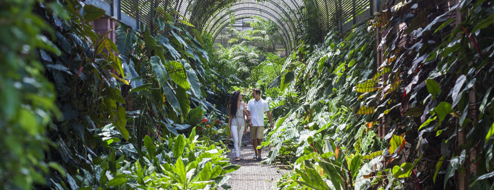 Jardín Botánico