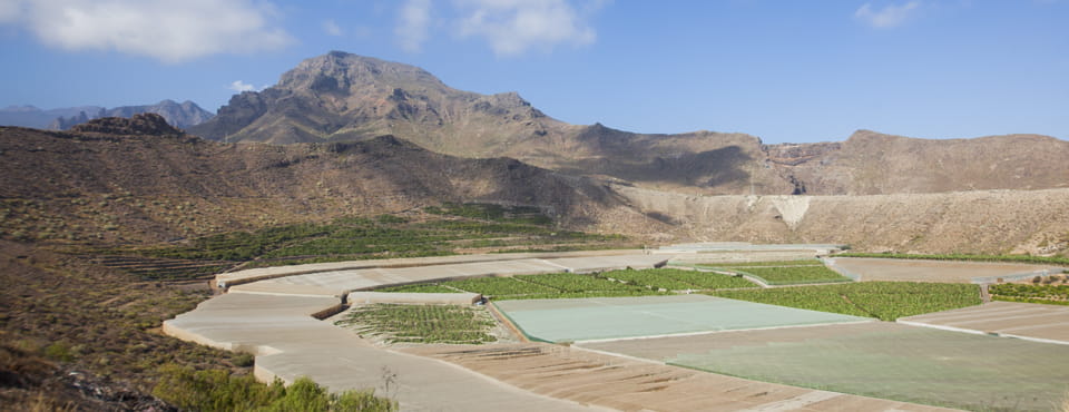 Caldera del Rey