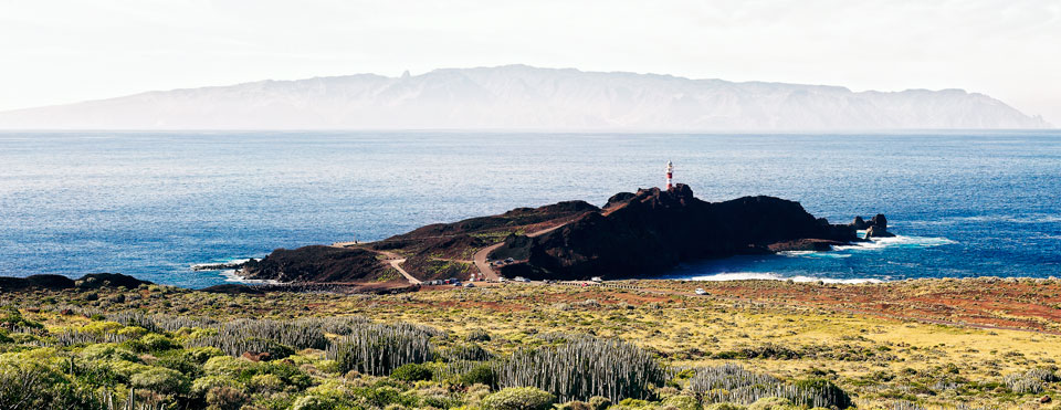 Punta de Teno
